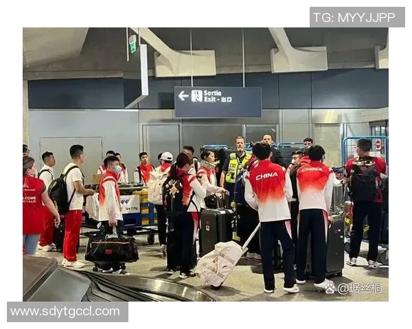 上海排球队的拼搏之路:一段不屈不挠的奋斗纪实与成长故事 上海排球队的拼搏之路:一段不屈不挠的奋斗纪实与成长故事