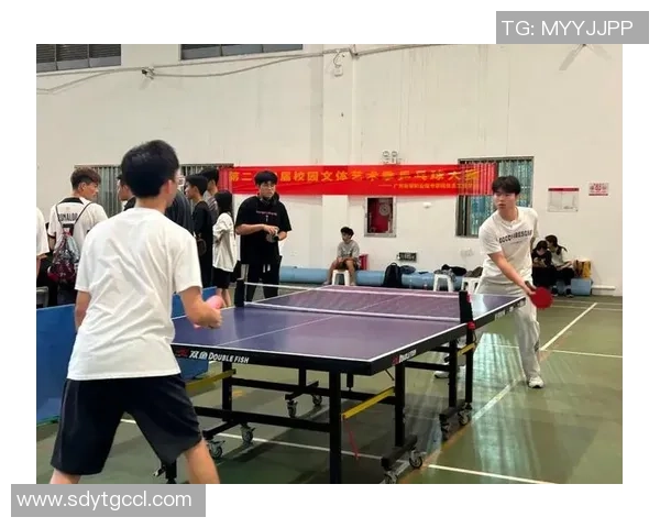 上海乒乓球队战术创新引领潮流助力乒乓球竞技水平再攀新高