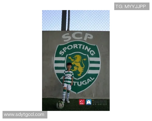 南京网球队的崛起之路联合会杯背后的奋斗与荣耀 南京网球队的崛起之路联合会杯背后的奋斗与荣耀