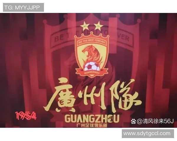 广州排球队逆袭之路:城市联赛中的奋斗与荣耀 广州排球队逆袭之路:城市联赛中的奋斗与荣耀