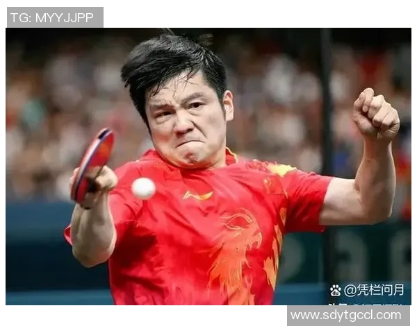 乒乓球盛宴:深入解析北京乒乓球队员的个人技术与实力之旅 乒乓球盛宴:深入解析北京乒乓球队员的个人技术与实力之旅