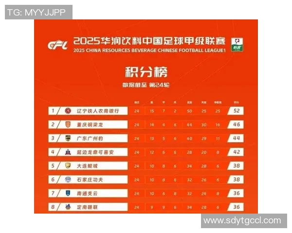 上海足球队以55分稳居联赛积分榜首位展现强劲实力