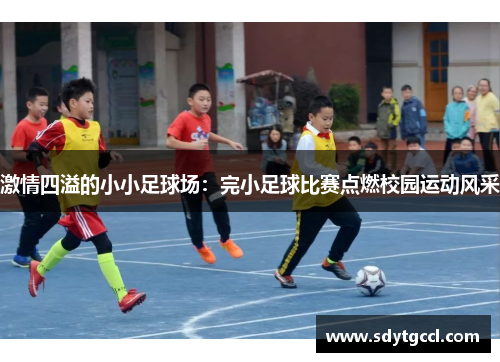 激情四溢的小小足球场：完小足球比赛点燃校园运动风采