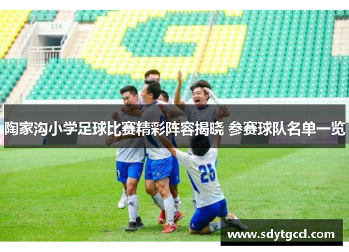 陶家沟小学足球比赛精彩阵容揭晓 参赛球队名单一览
