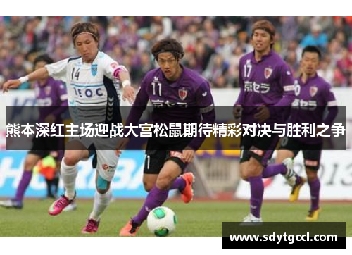 熊本深红主场迎战大宫松鼠期待精彩对决与胜利之争